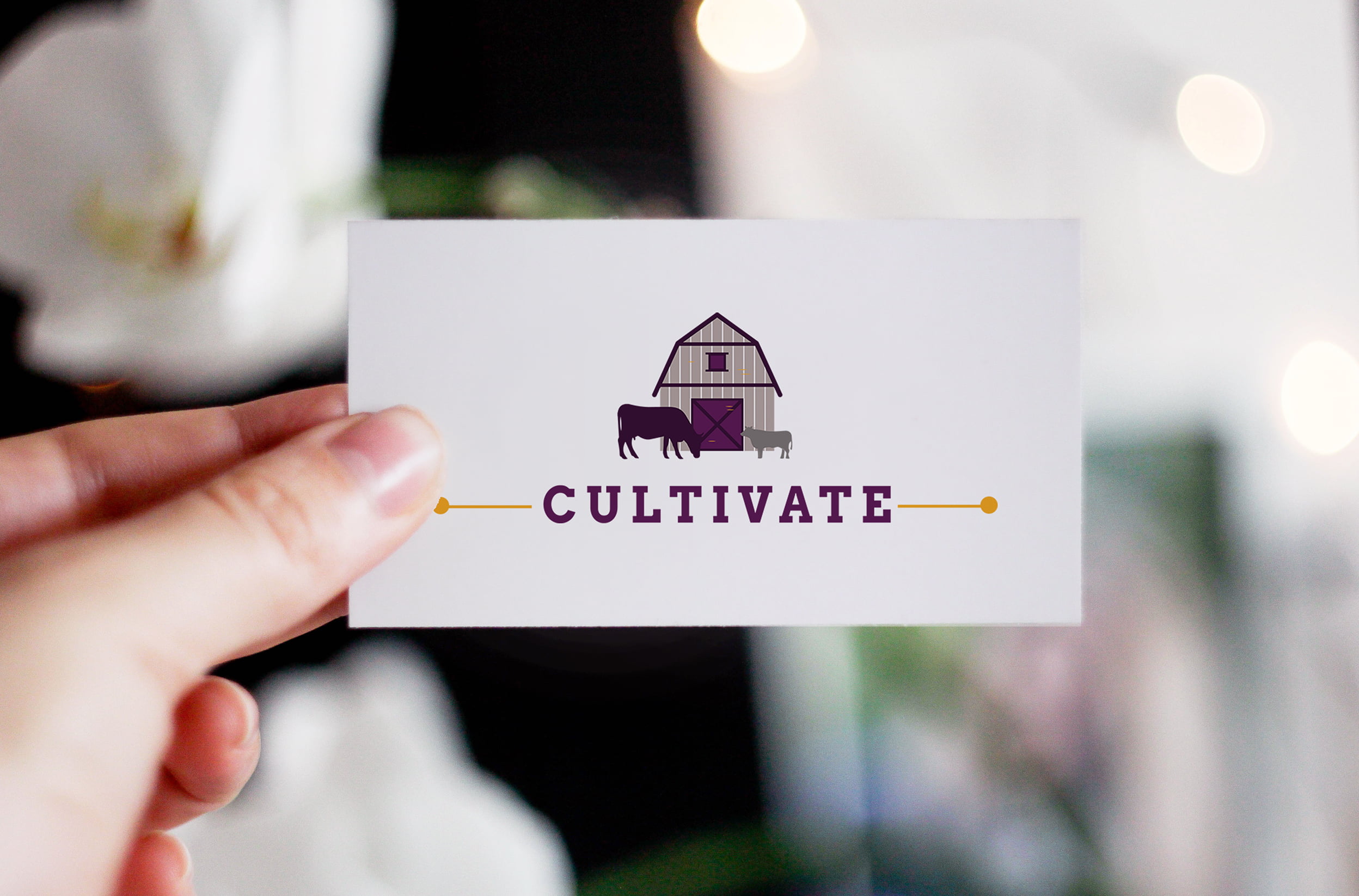 cultivate-6