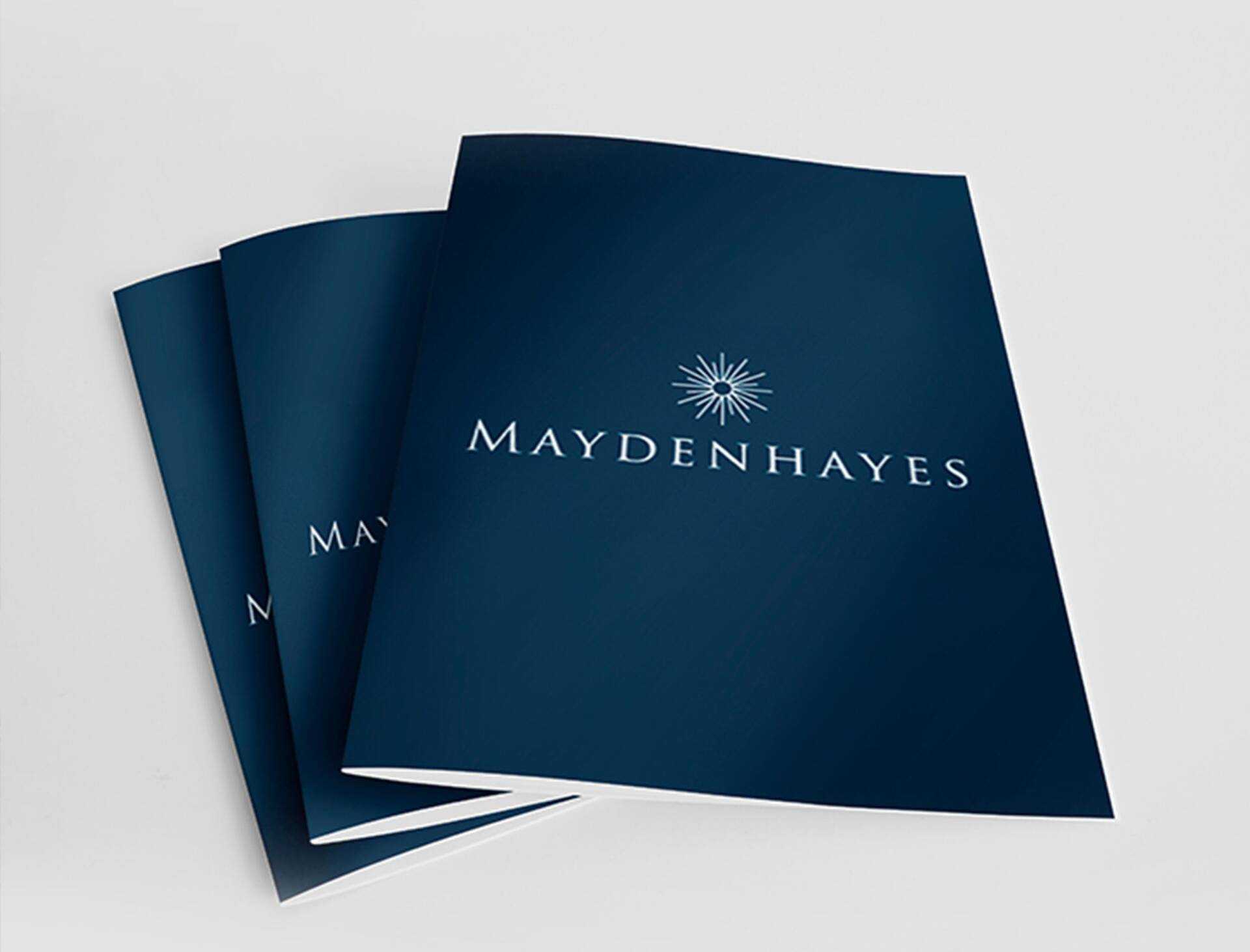 PINTEREST_maydenhayes_brochure